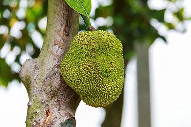 《剑星》PC版发售一个月 Steam销量超200万套